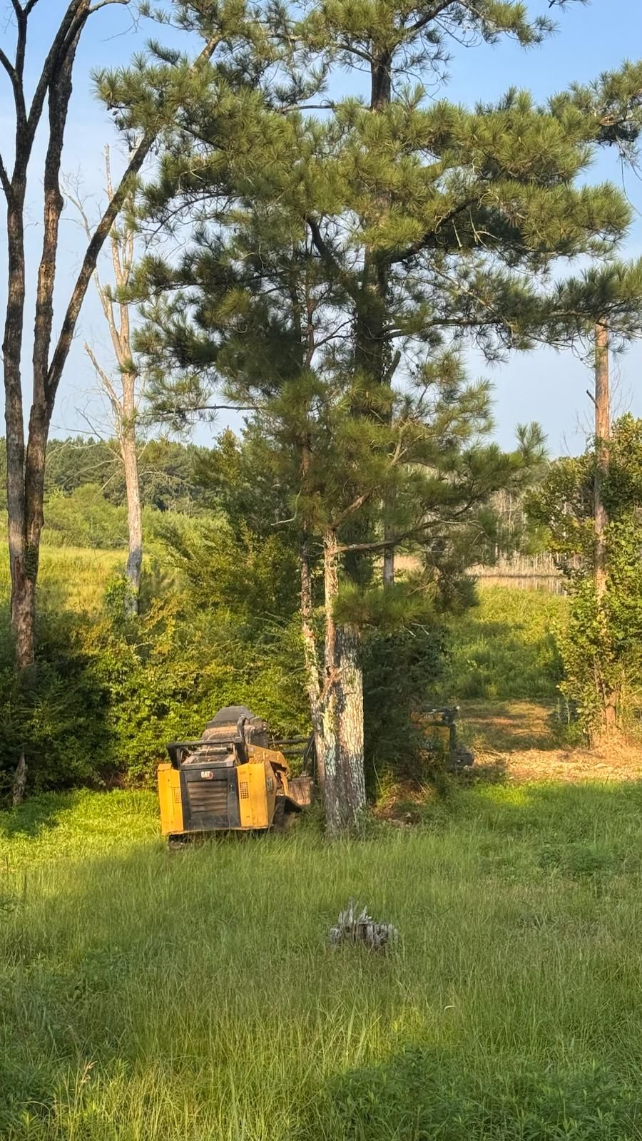 Yellow skid-steer loader near a tree in a field. Green grass, trees, and hills in the background.