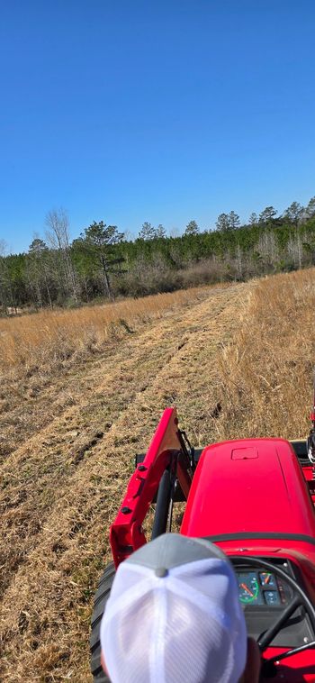 A person driving a red tractor through a field with tall, dried grass on a sunny day.