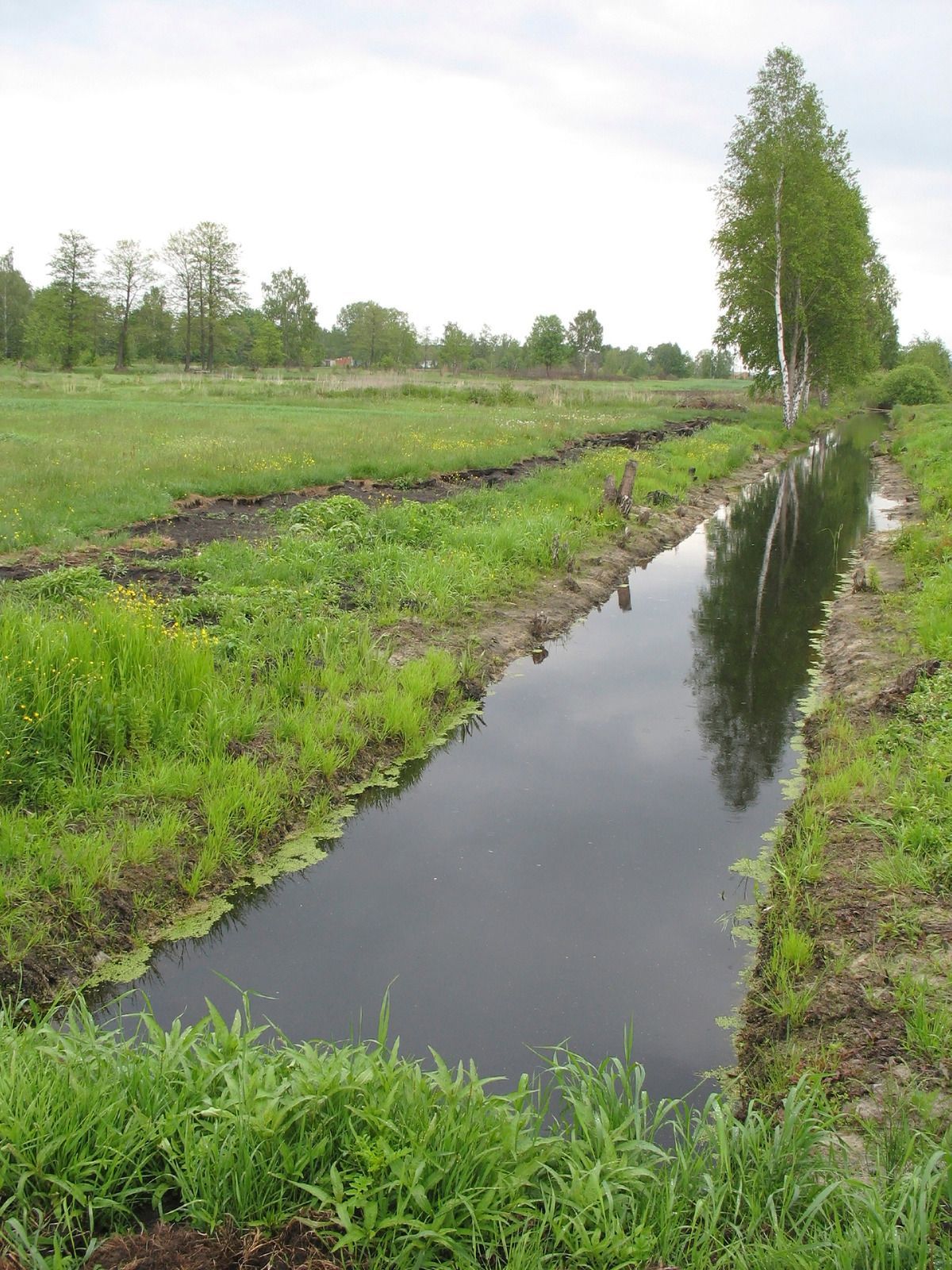 Black truck towing a yellow skid steer loader on a trailer in a dirt lot.