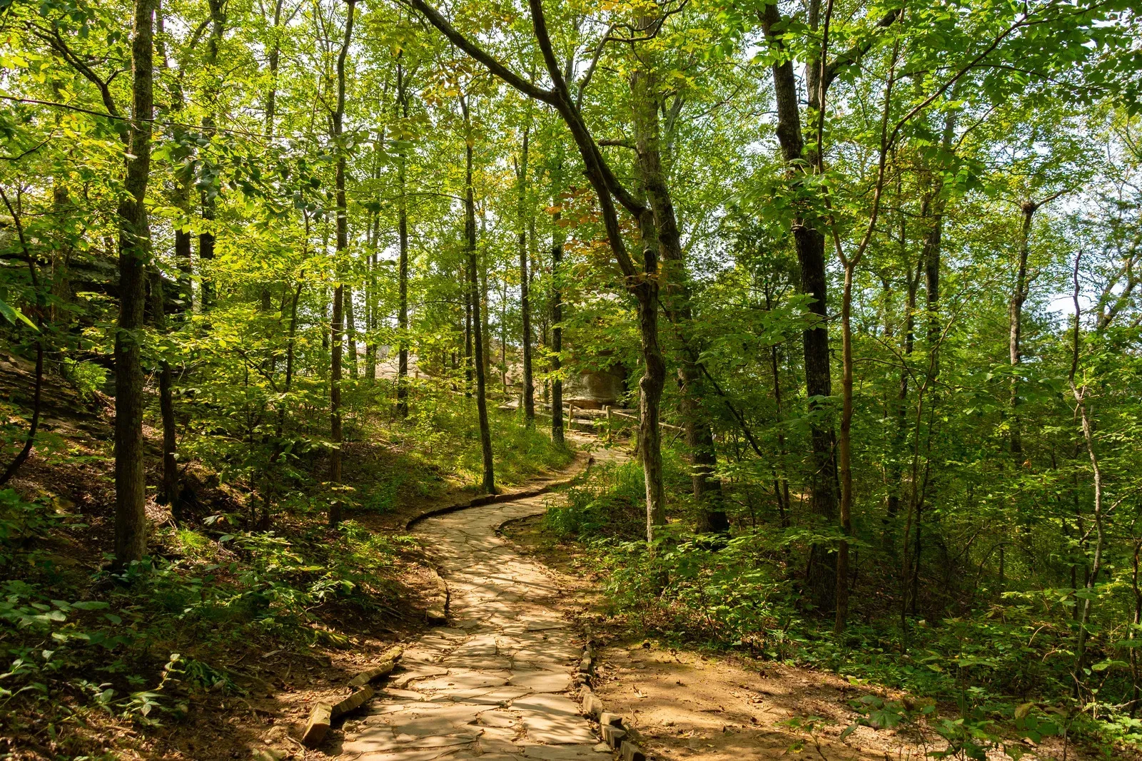 Dirt road through a grassy field, trees in the background, under a blue sky.