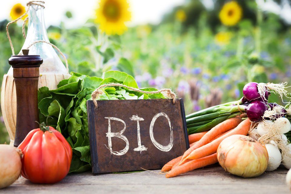 Bedeutung des Bio-Siegels für ökologische Lebensmittel