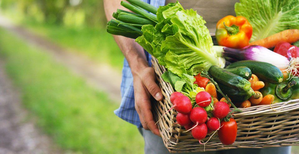 Bio-Gemüse und Obst online bestellen