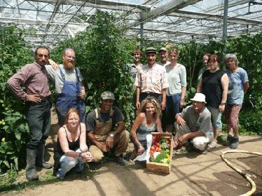 Gärtner im Gewächshaus