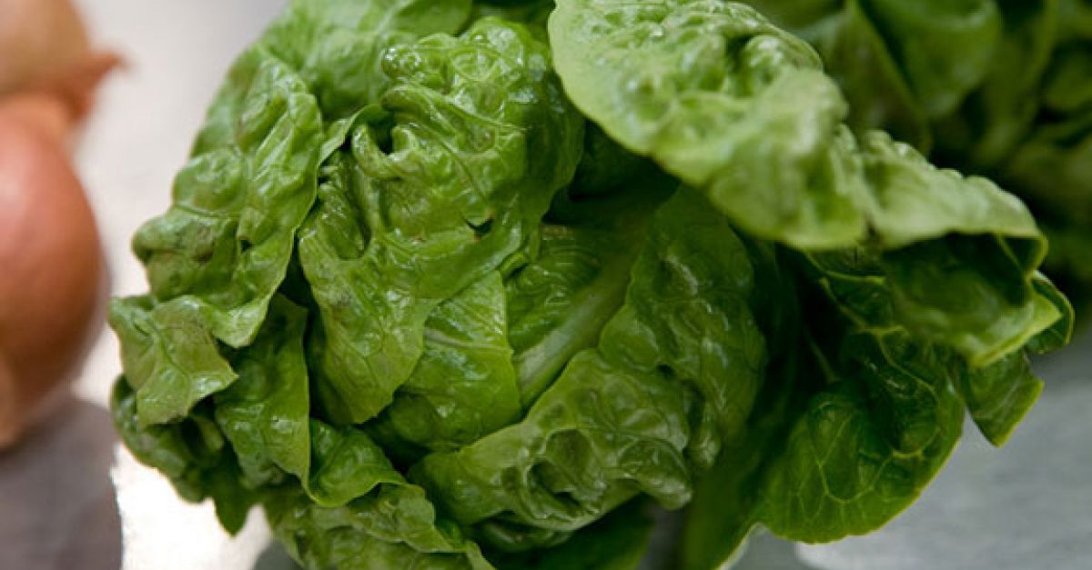 Salat vom Bio Liefer Dienst Zipf – Ihr Bio Markt für Mahlberg