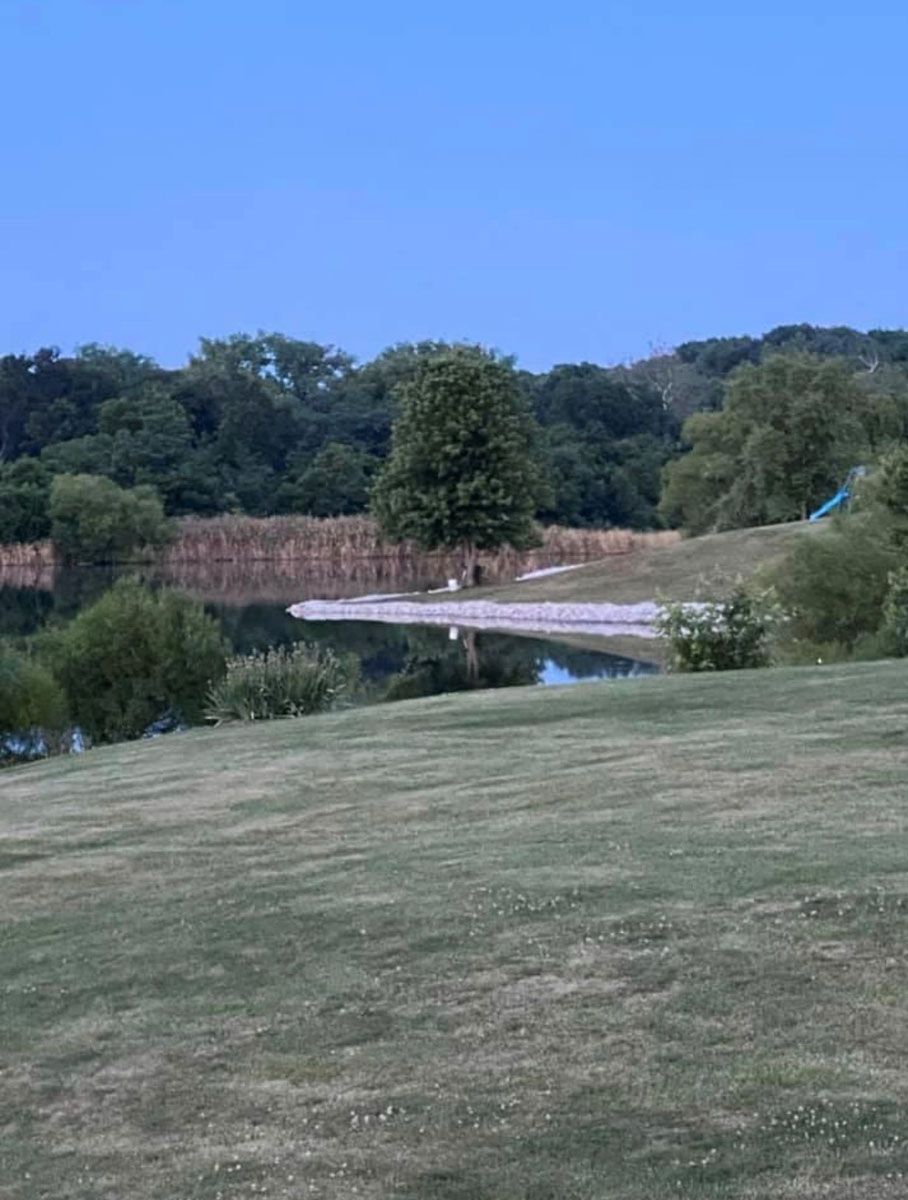 There is a lake in the middle of a grassy field.