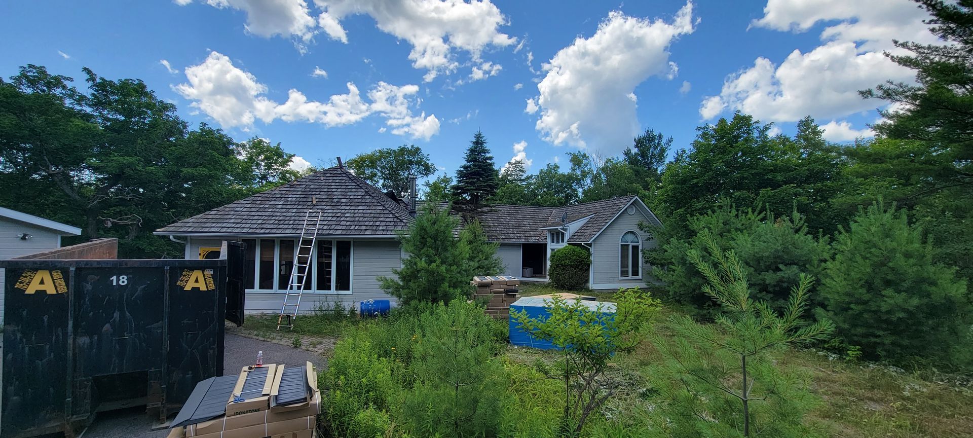 A house is surrounded by trees and bushes on a sunny day.