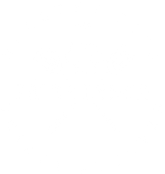 A white background with a drawing of a butterfly on it.