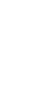 Flea icon — Piedmont, OK — Innovative Pest Management