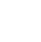 Spider icon — Piedmont, OK — Innovative Pest Management