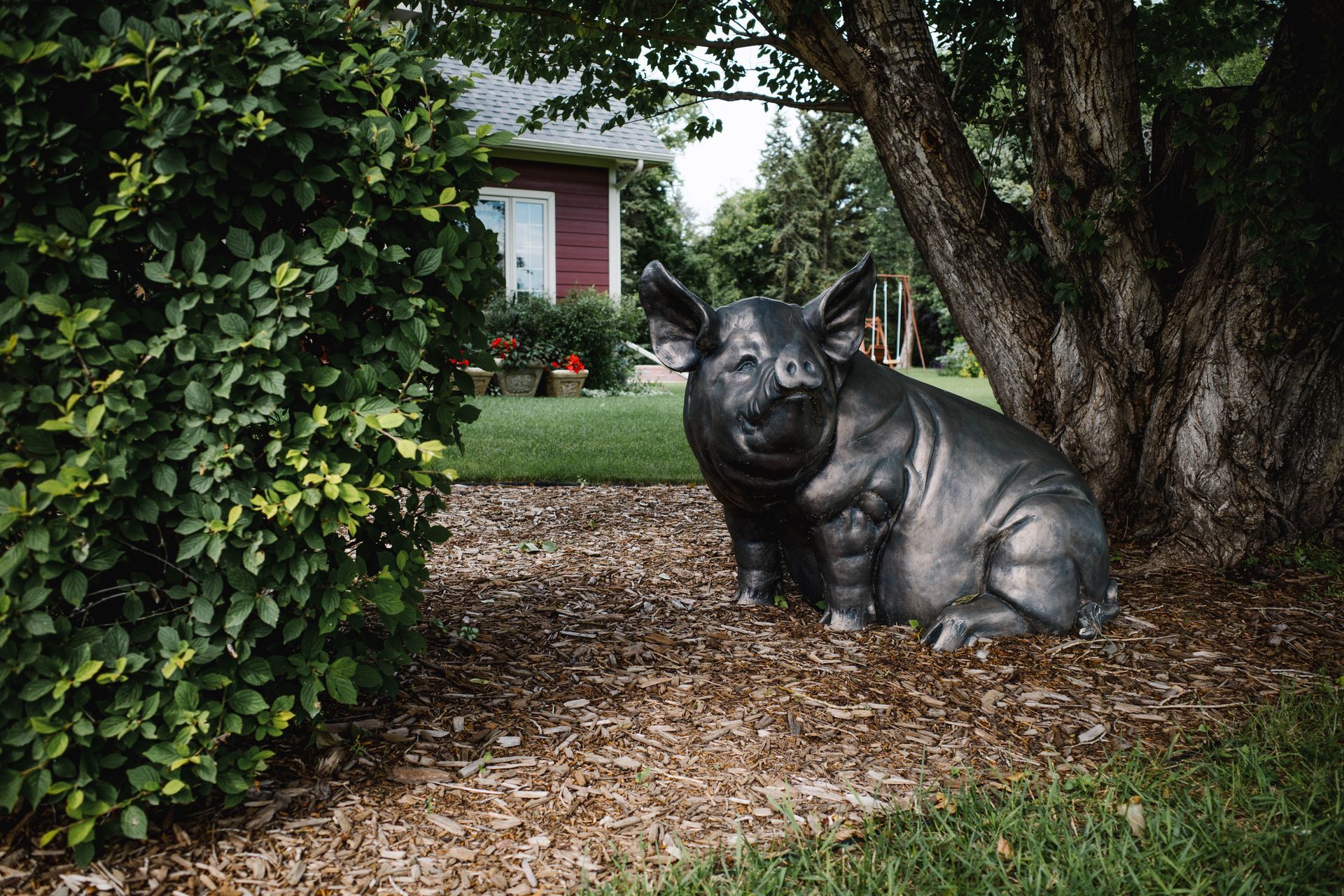 A statue of a pig sitting  on Perkins Farm in Wainwright, Alberta