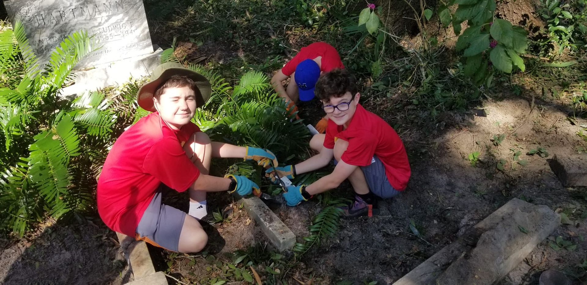 Scouts removing invasive Cats Claw Bignonia from a gravesite.