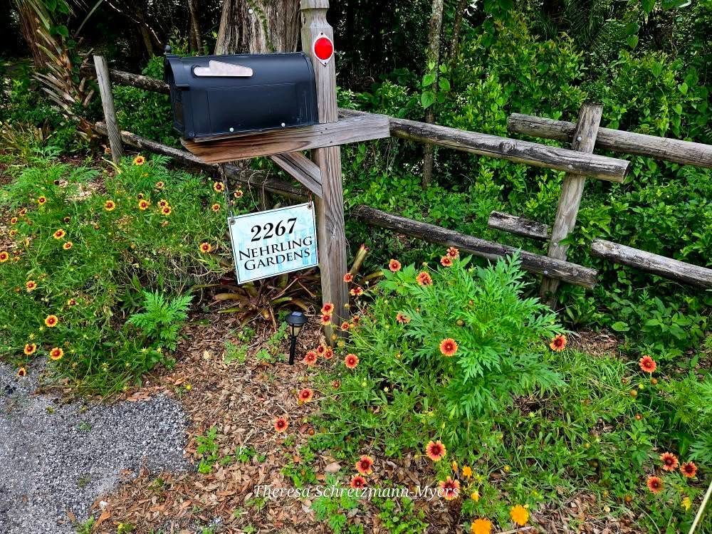 Mailbox with address 2267 on a rustic wooden post, surrounded by blooming orange flowers and greenery.