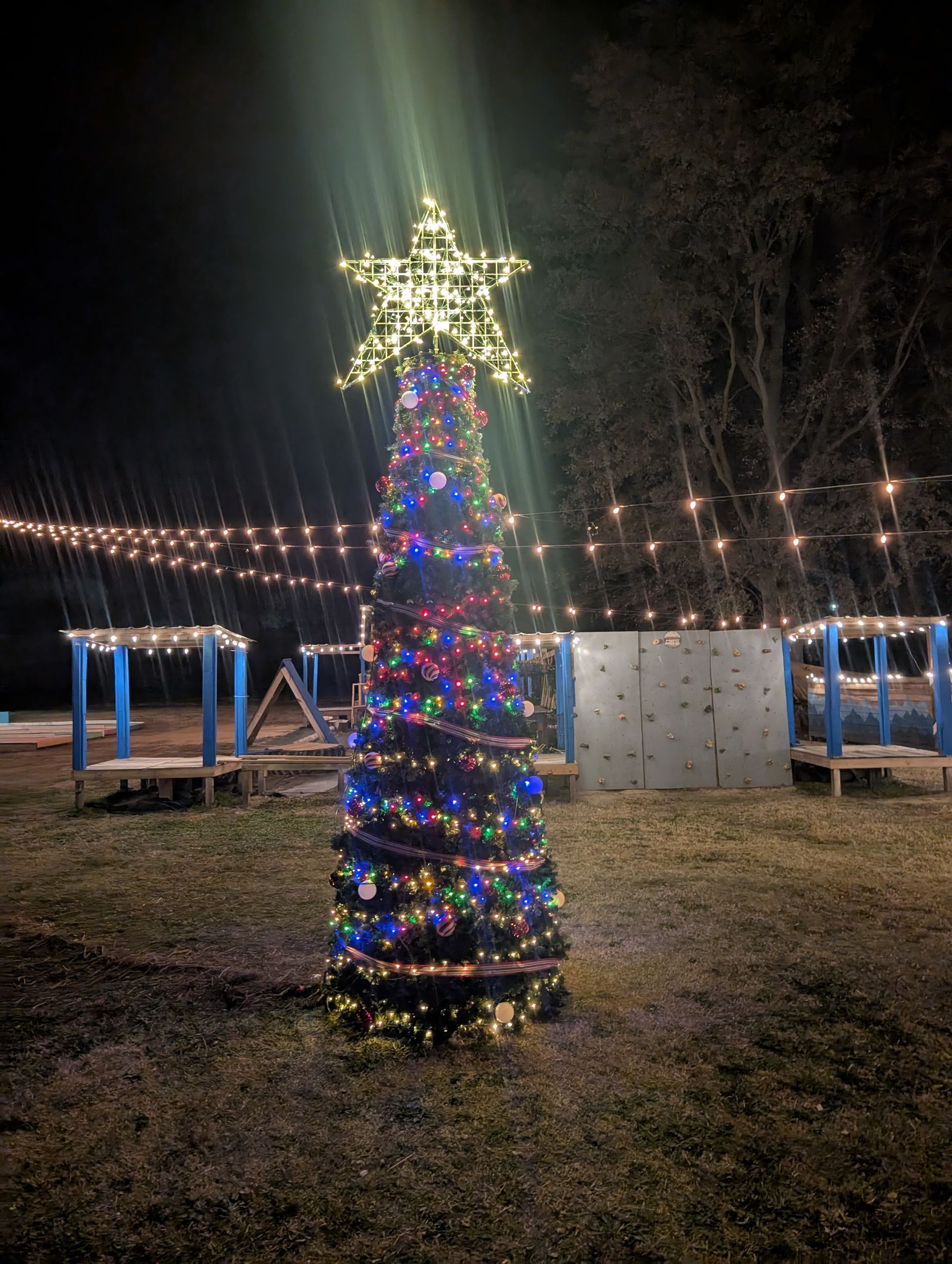 A christmas tree with a star on top of it