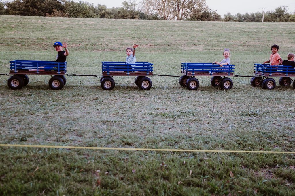 A row of wooden wagons are parked in a grassy field.