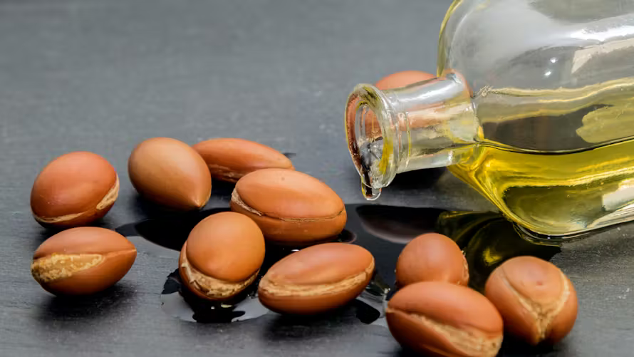 L'Huile d'argan