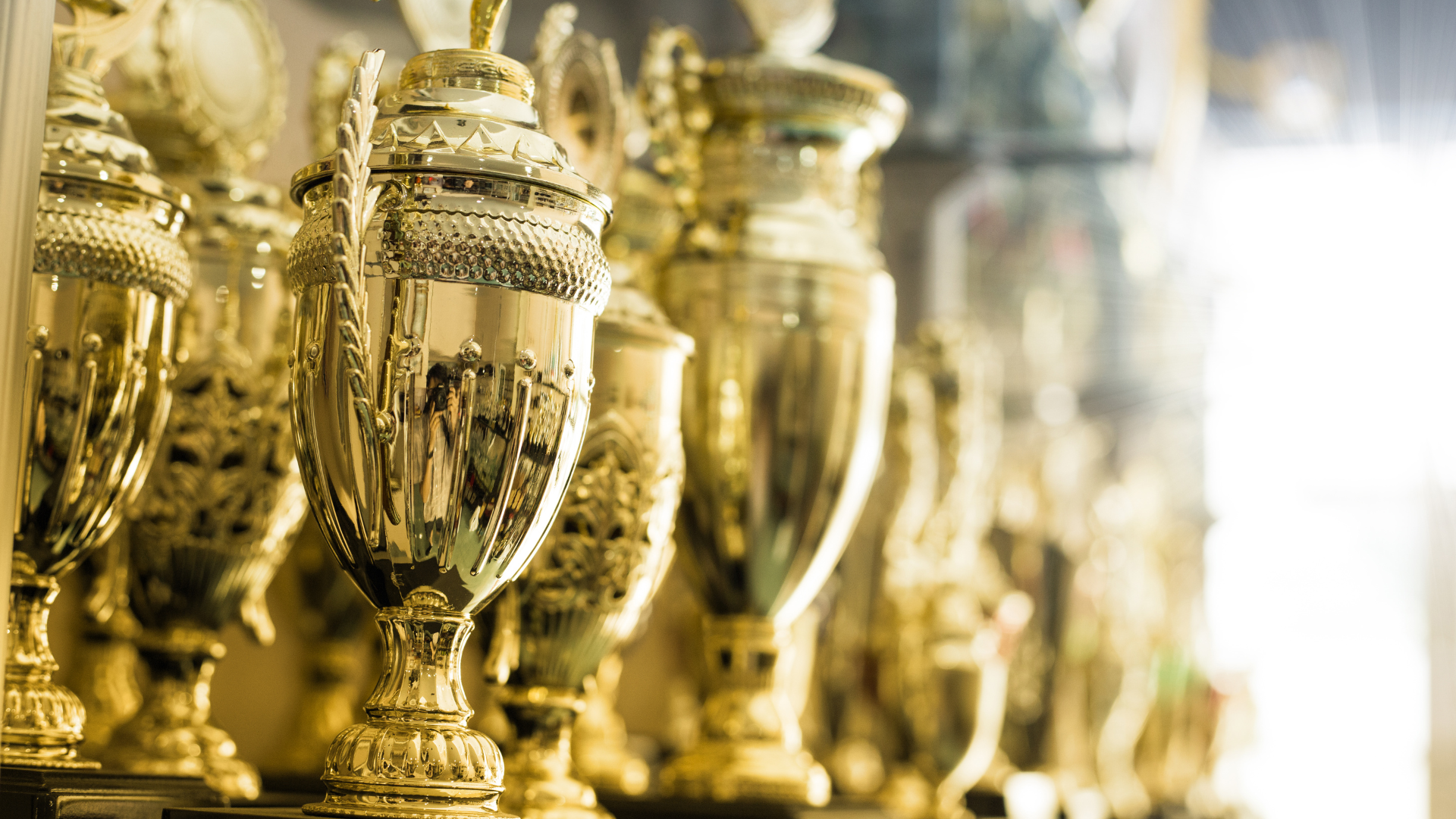 Gold trophies lined up on a shelf, gleaming in a well-lit display.