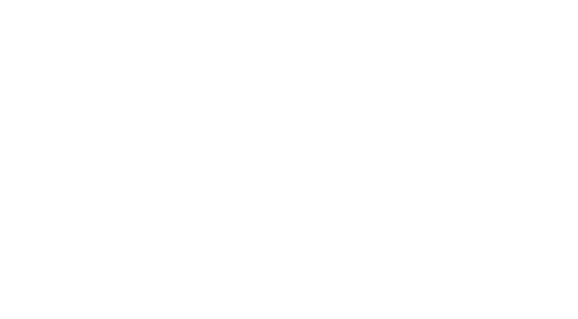 Arnel Inc. white logo