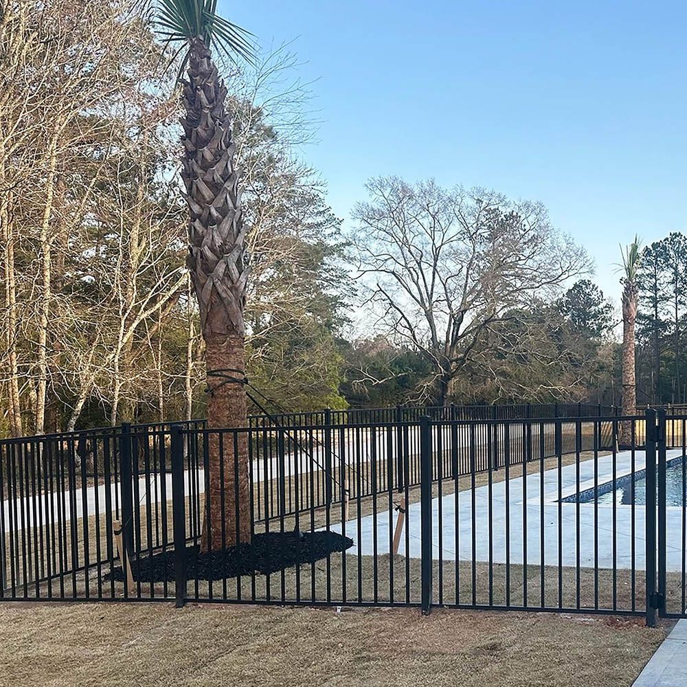 A metal fence surrounds a swimming pool with palm trees in the background.