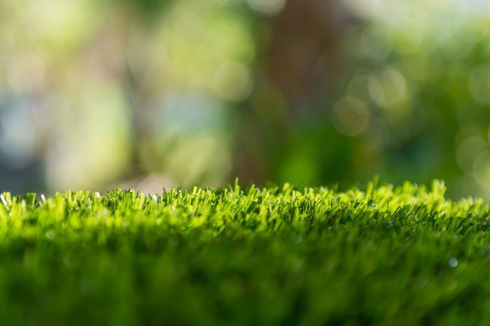 Close-up of bright green artificial turf, with a blurred, sunlit green background of foliage.