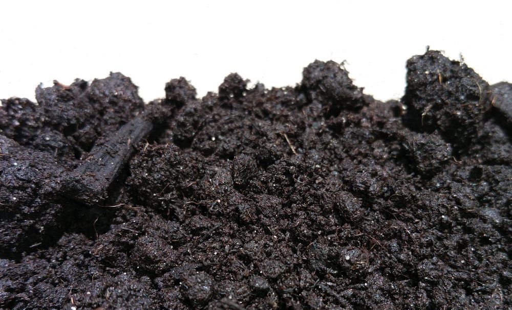 Dark, rich soil; close-up view. The soil appears damp with some visible plant matter, against a white backdrop.