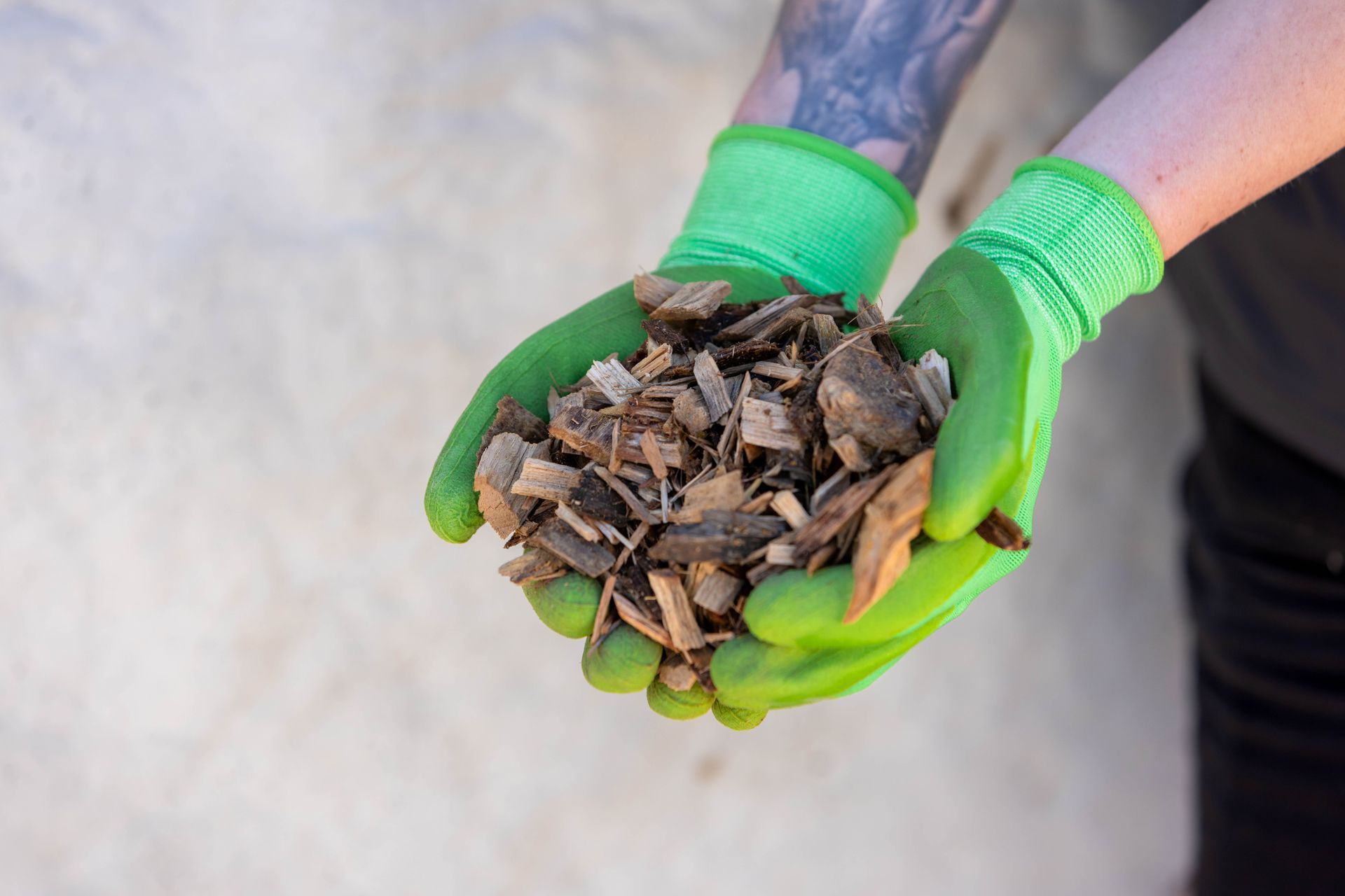 Person wearing green gloves holding wood chips, against a light wall.