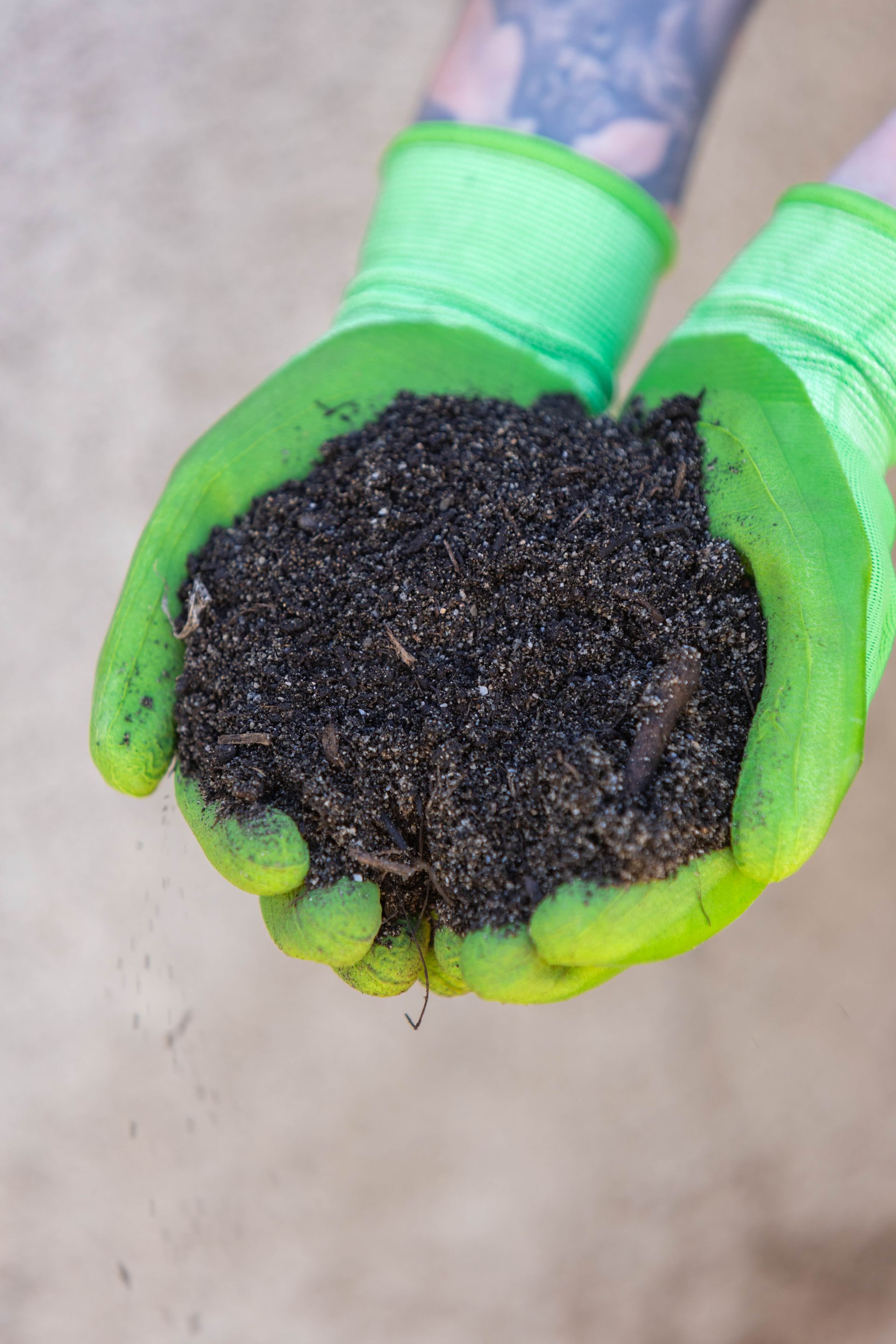 Hands in green gloves holding a pile of dark soil.