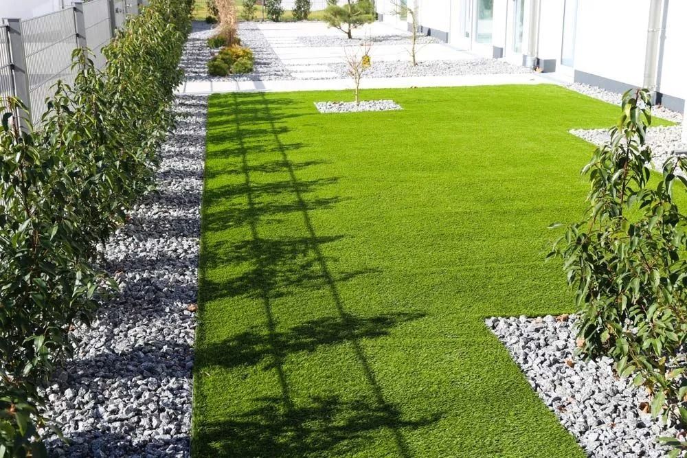Green lawn with a line of young trees casting shadows, bordered by rocks and a gray fence.