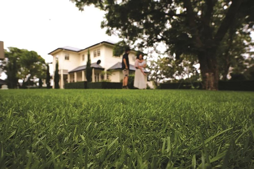Lush green lawn in foreground with a two-story house and two people standing in the distance, under a cloudy sky.