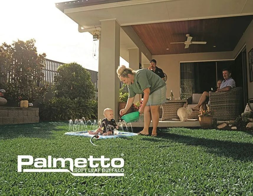 Family enjoying a backyard with green grass