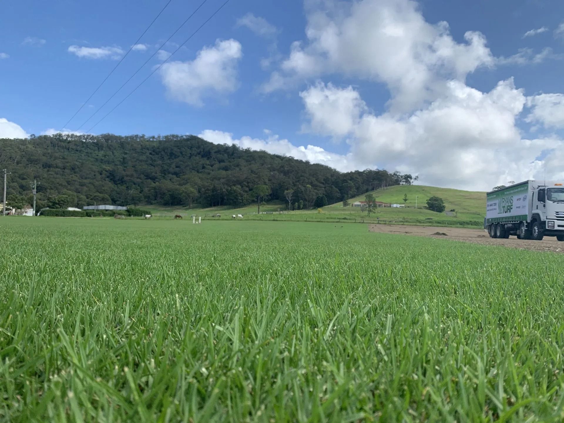 Green field with a mountain in the background and a truck on the right under a blue sky with clouds.