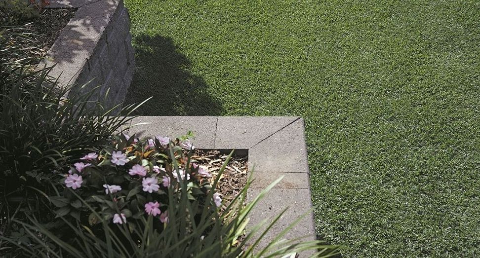 A stone-walled garden bed with pink flowers and grass, set beside a grassy area.