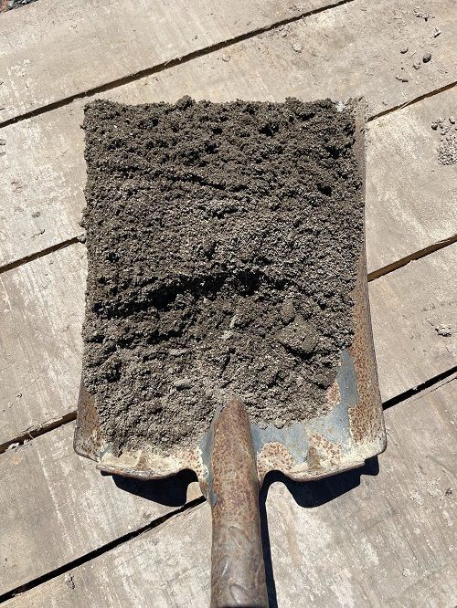 Shovel holding a scoop of sand. Green shovel in a pile of sand outdoors with a light-colored handle.