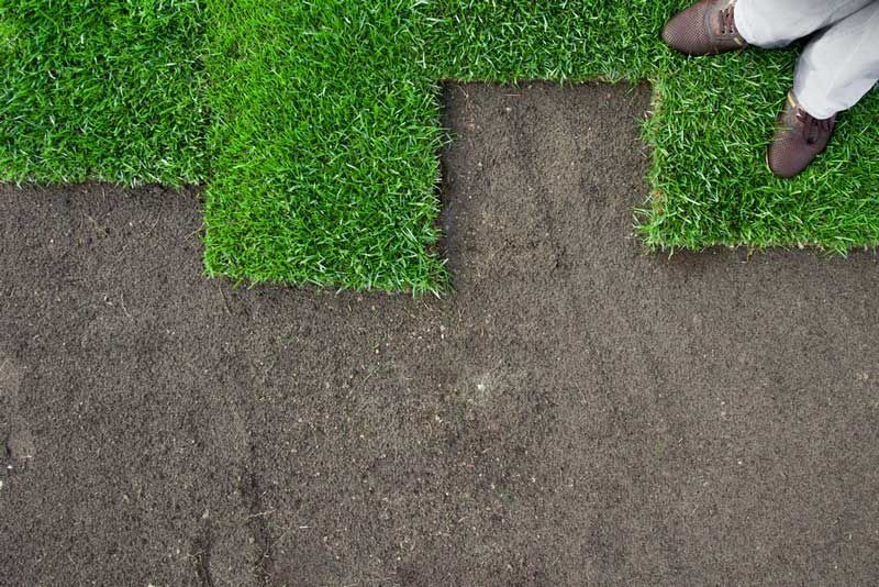 A person laying sod: green grass tiles over dark soil, with brown shoes visible.