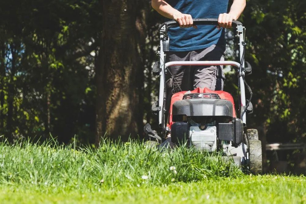 Person mowing a green lawn with a red and gray lawnmower in a sunny, outdoor setting.
