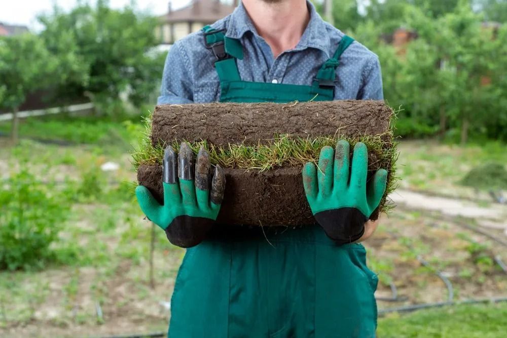Person in green overalls holding a rolled-up section of sod with green gloves. Outdoors, blurred background.