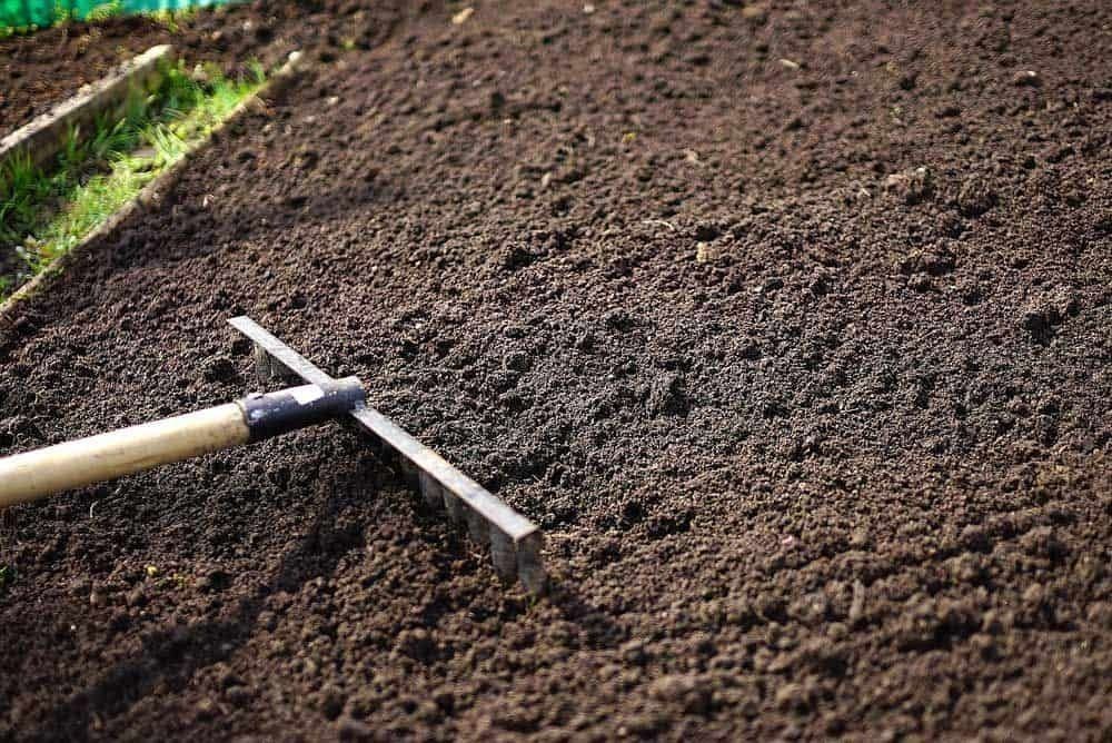 A garden bed with dark soil being smoothed by a metal rake with a wooden handle, in preparation for planting.
