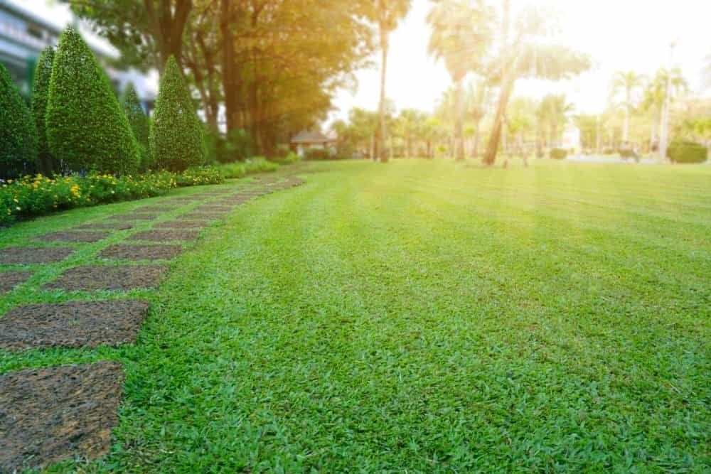 Stone path alongside lush green lawn, leading towards trees in the sunlight.