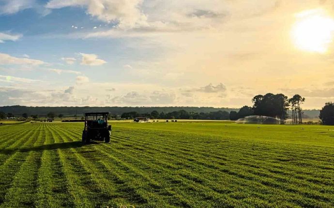 A tractor rolls out sod on a green lawn. In the background, a rolling green landscape under a blue sky.