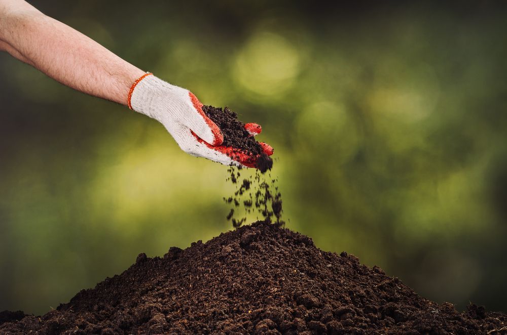 Hand in a gardening glove pouring dark soil onto a pile against a blurred green background.