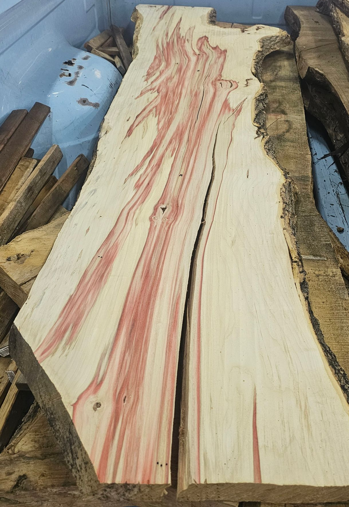 Fresh Cut Live Edge Flaming Box Elder