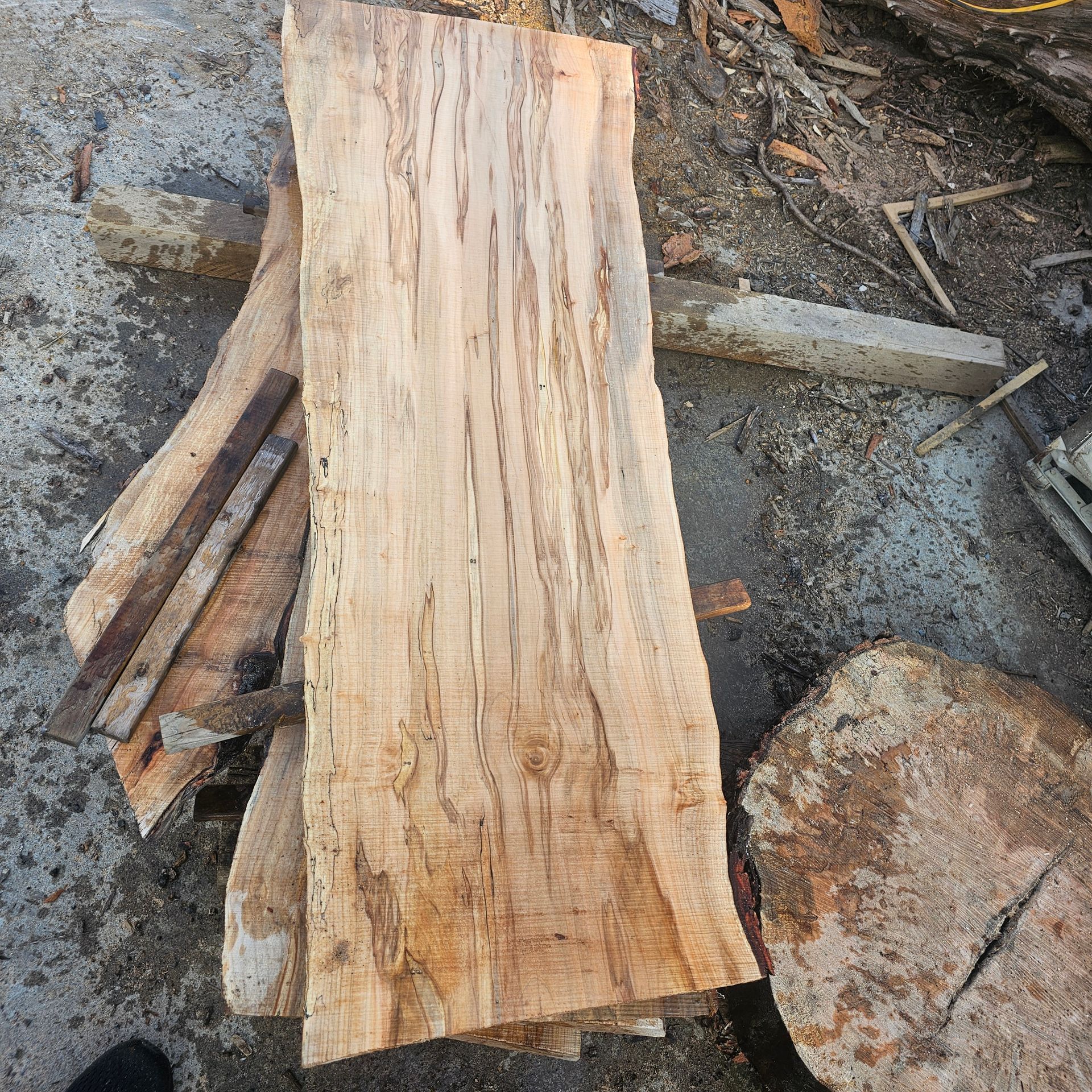 Maple Live Edge Slabs