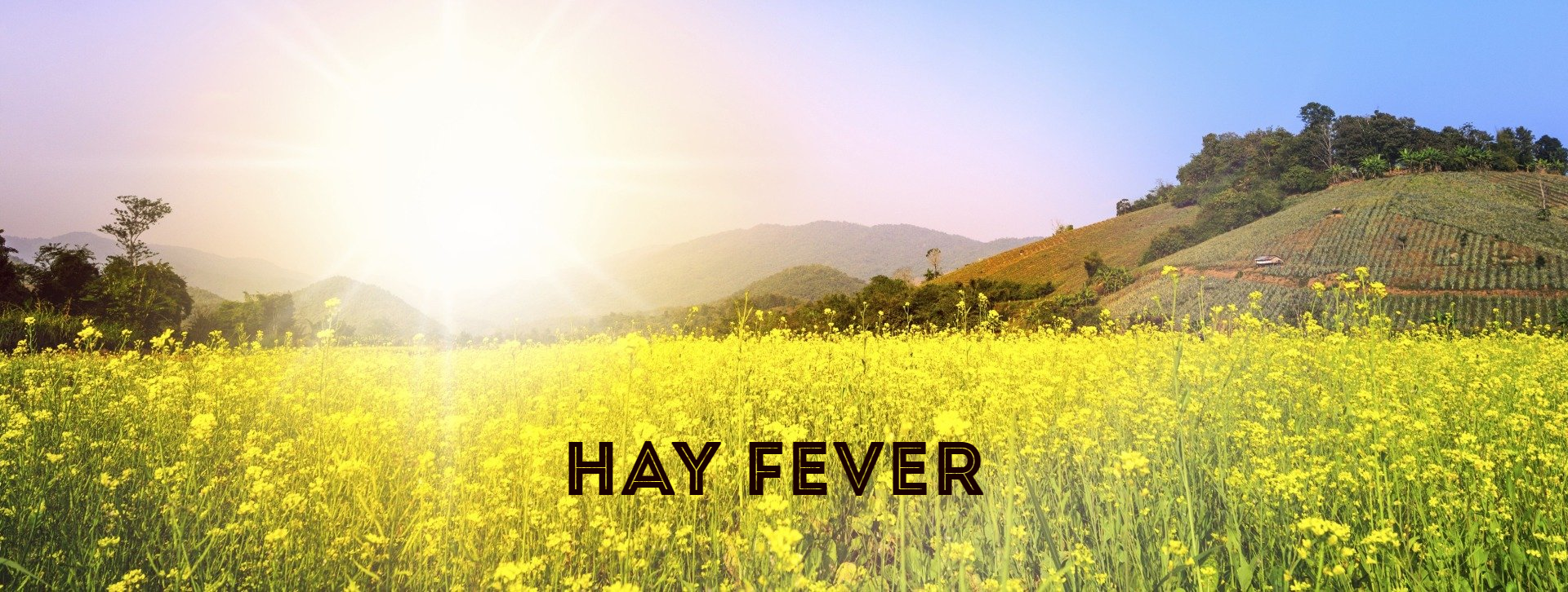 Hay fever, image