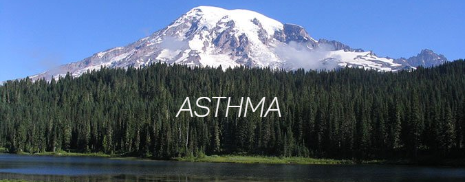 Asthma, image