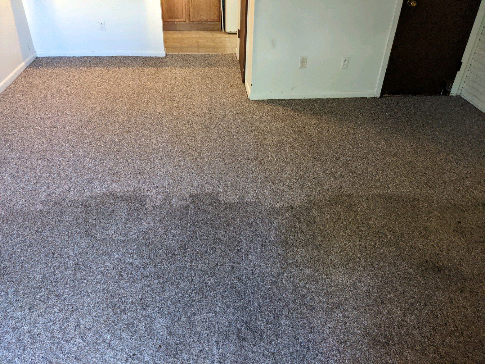 Carpet Cleaning — Coralville, Iowa — Corridor Floor Care
