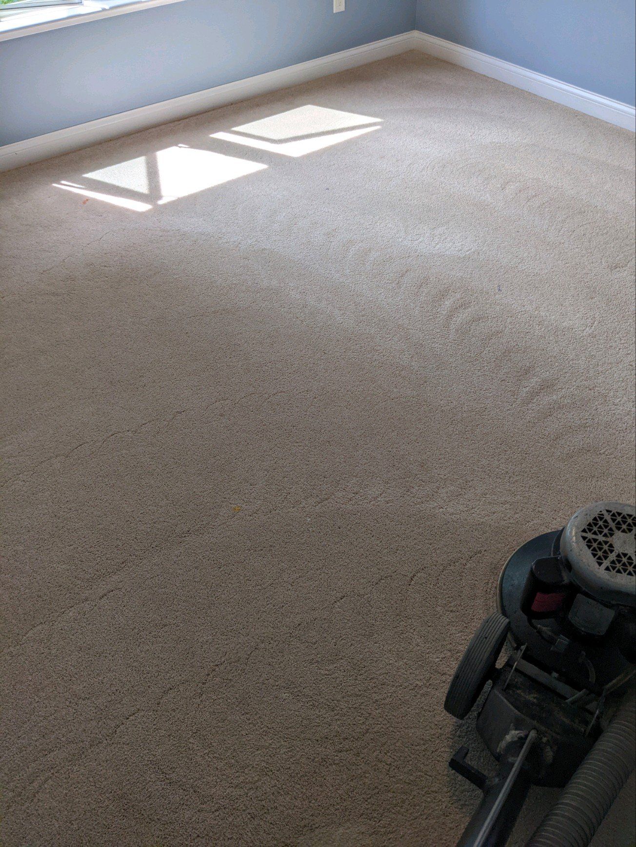 Carpet Cleaning after- North Liberty, Iowa
