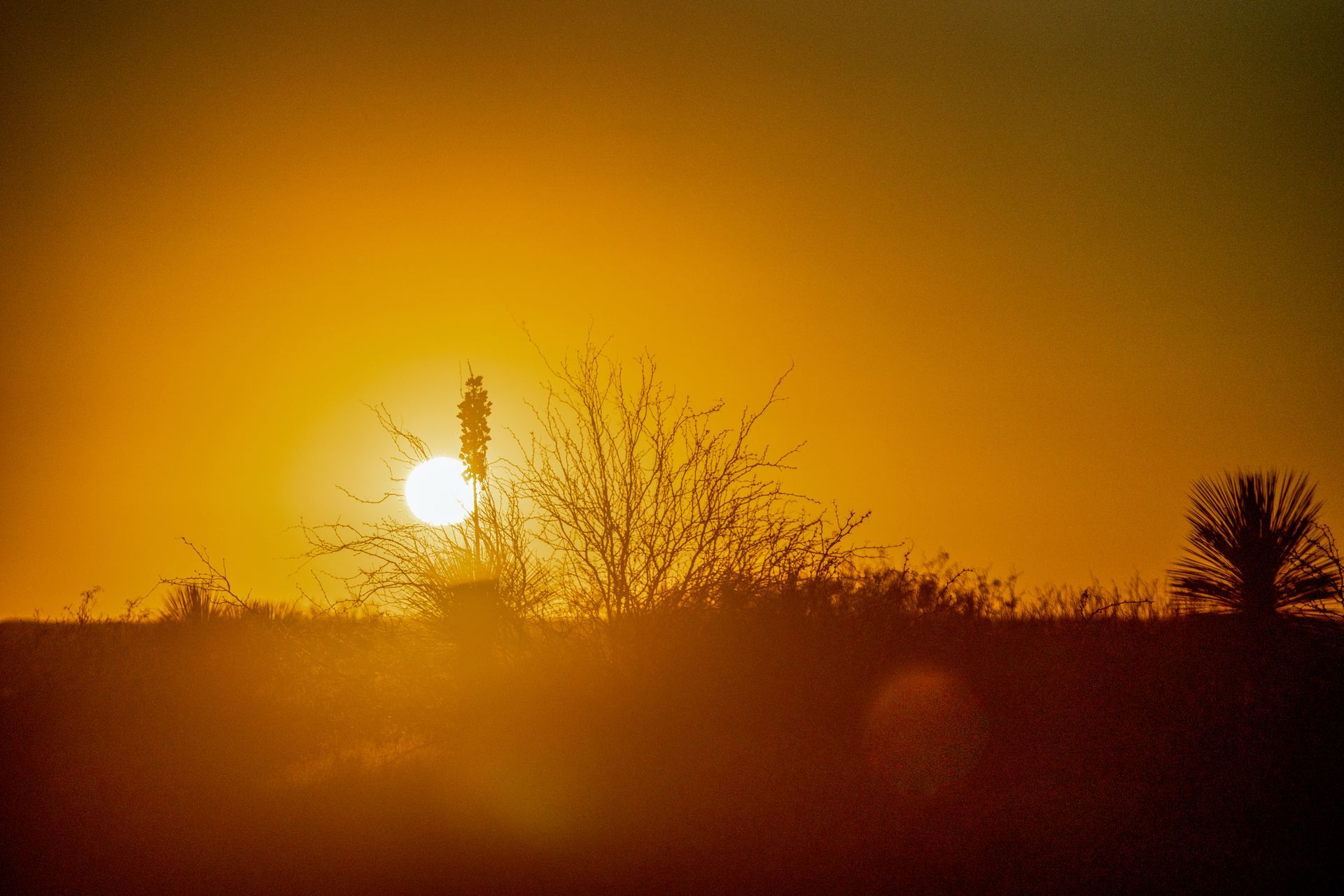 A beautiful sunset in North Texas represents a need for AC tune-up.