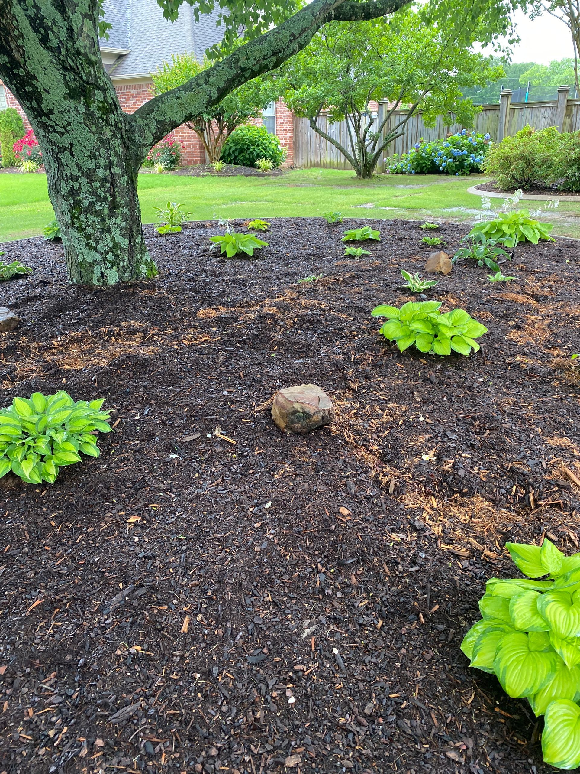 drip irrigation to make your plants healthy.