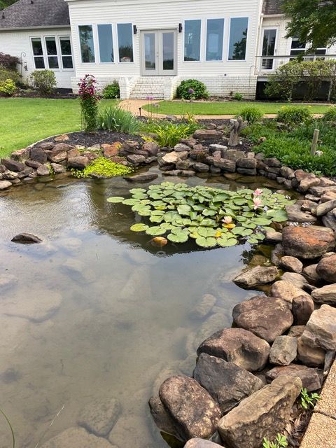a pond with lily pads in front of a house.