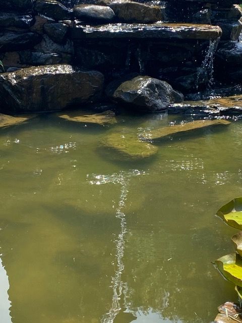 a pond with a waterfall in the background