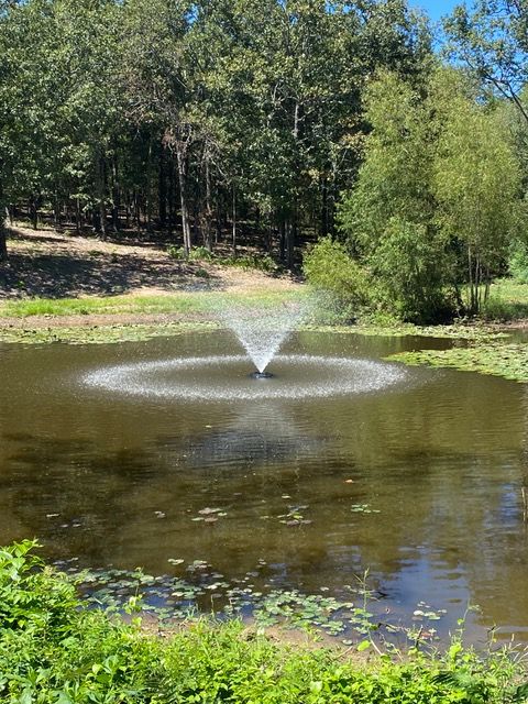 a pond with a fountain in the middle of it surrounded by trees.